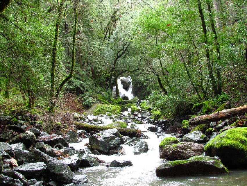 Sugarloaf Ridge State Park, Napa Valley | cityseeker