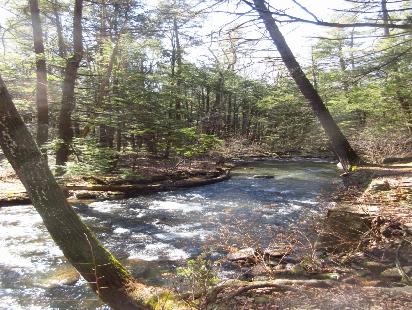 Reeds Gap State Park, Milroy, eventseeker