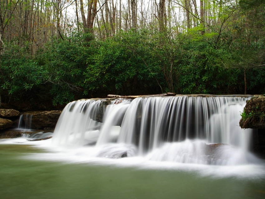 Camp Creek State Park and Forest - 1266616 1