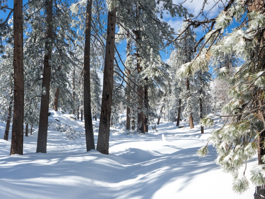 Rim Of The World Snow Play Area