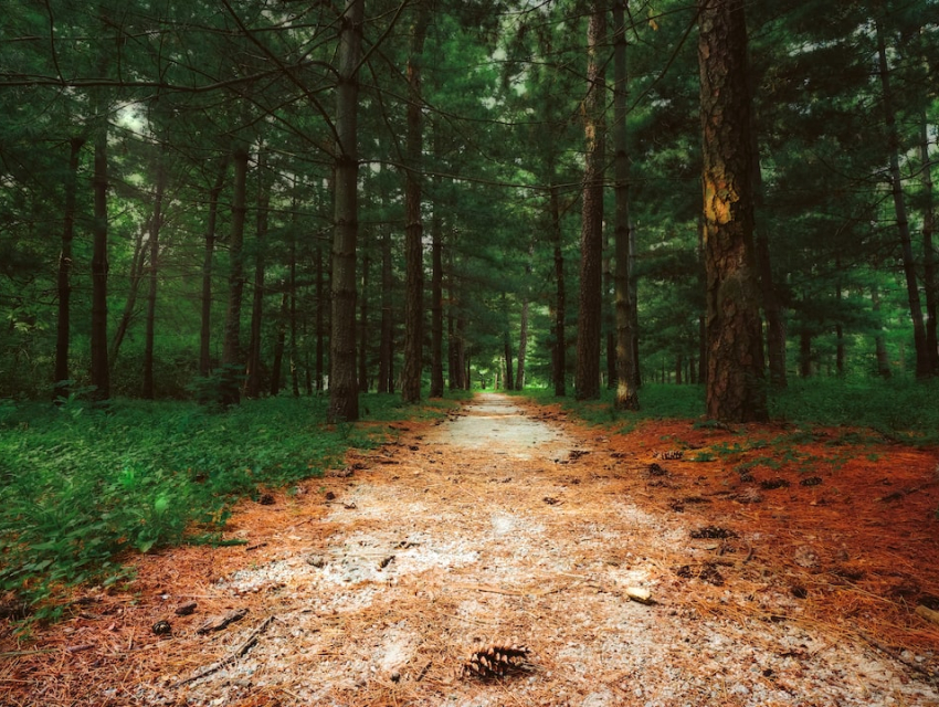 Seven Sisters Road Nebraska City Cityseeker