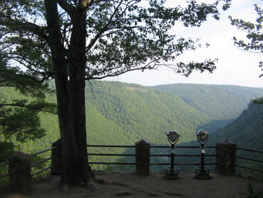 Colton Point State Park: Things to Know | Cityseeker