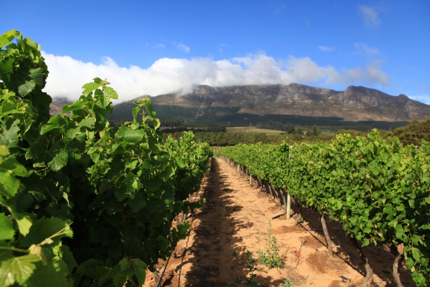 The BlockHouse Kitchen In Constantia Uitsig Wine Estate , 53 OFF