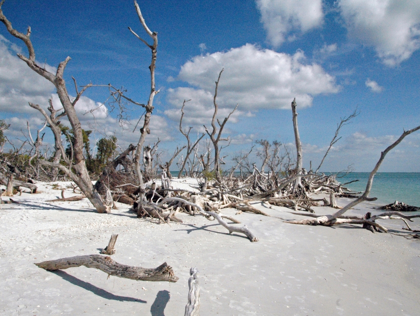 Cayo Costa State Park: Things to Know | Cityseeker