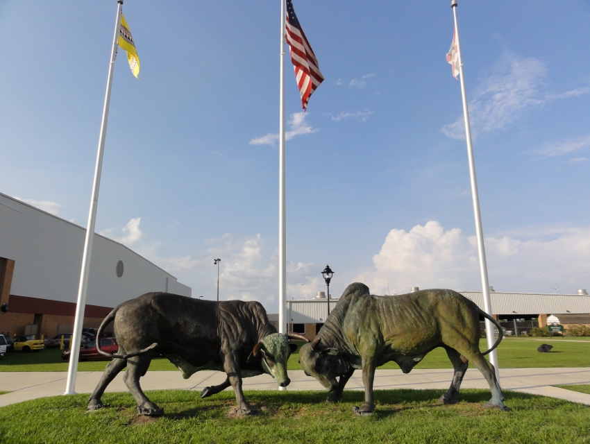 The Spurs Arena Kissimmee Just Broke Expectations In A Wild, Unforgettable Way