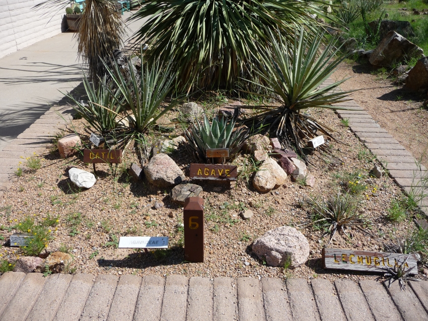 El Paso Museum of Archaeology, El Paso cityseeker