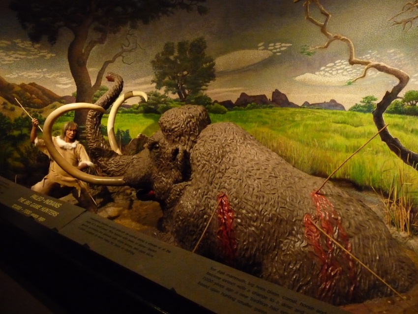 El Paso Museum of Archaeology, El Paso cityseeker