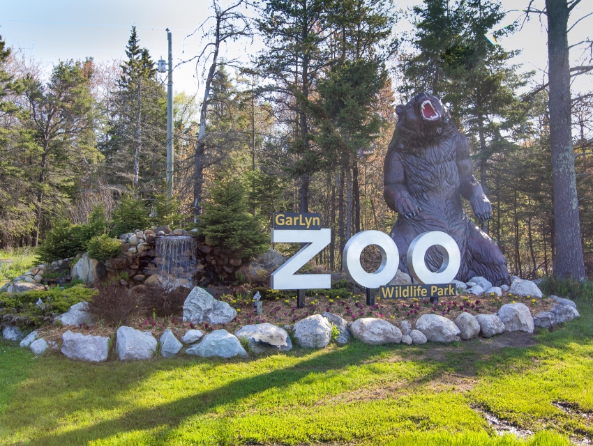 DeYoung Family Zoo, Wallace cityseeker