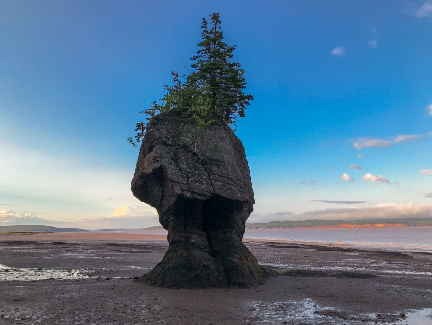 Hopewell Rocks, Hopewell Cape | cityseeker