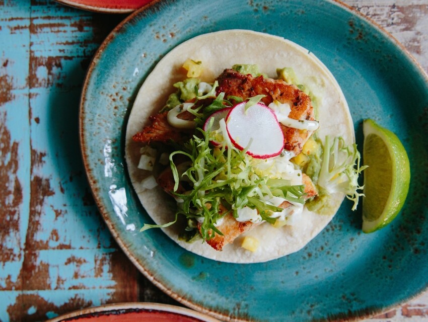 The Painted Burro, Somerville cityseeker