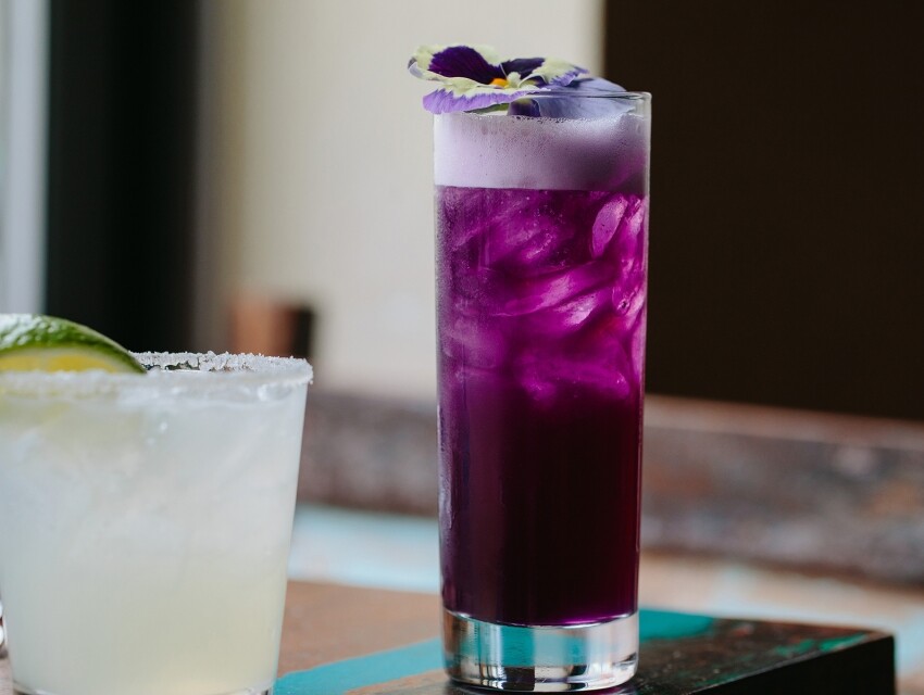 The Painted Burro, Somerville cityseeker