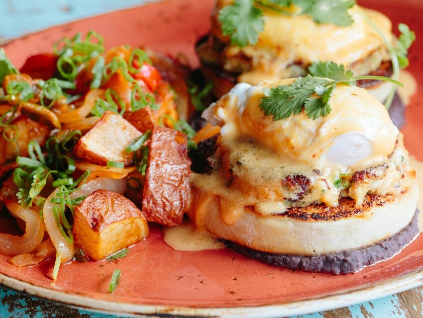 The Painted Burro, Somerville cityseeker