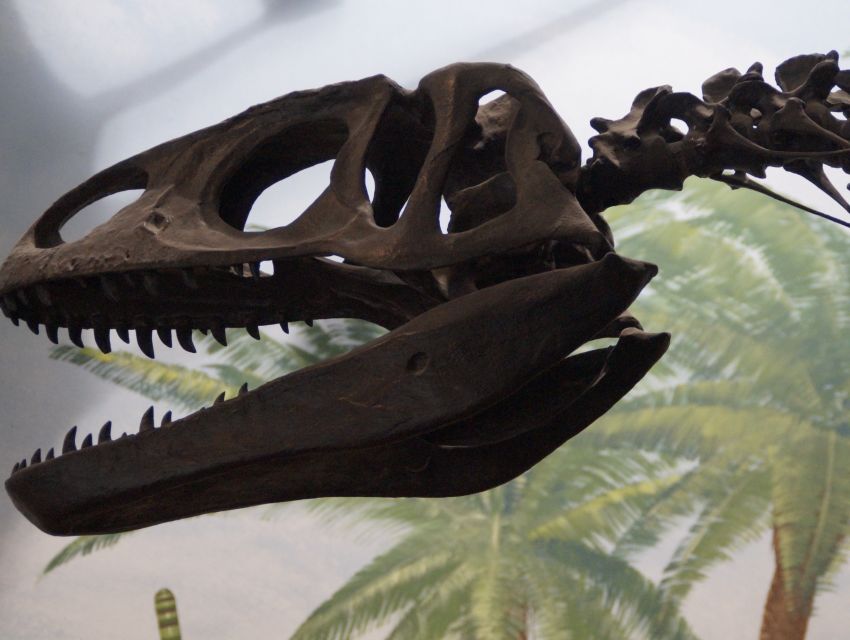 Mace Brown Museum of Natural History, Charleston cityseeker