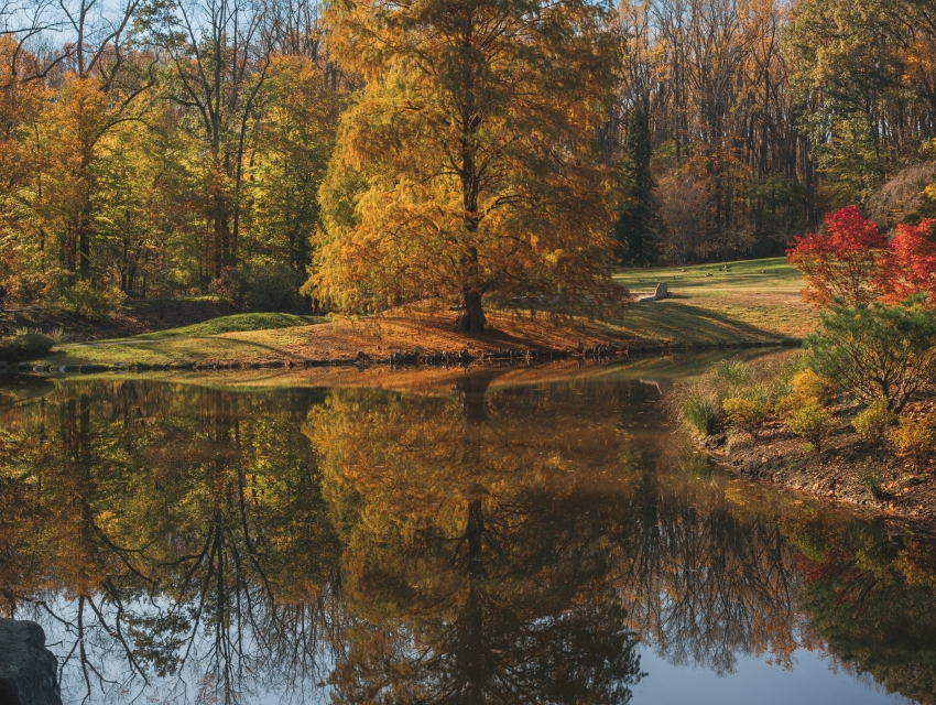 Wheaton Regional Park, Silver Spring | cityseeker